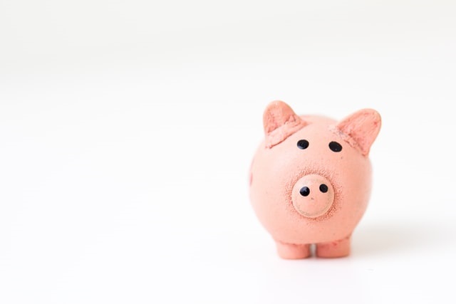 Taking money out of your Limited Company