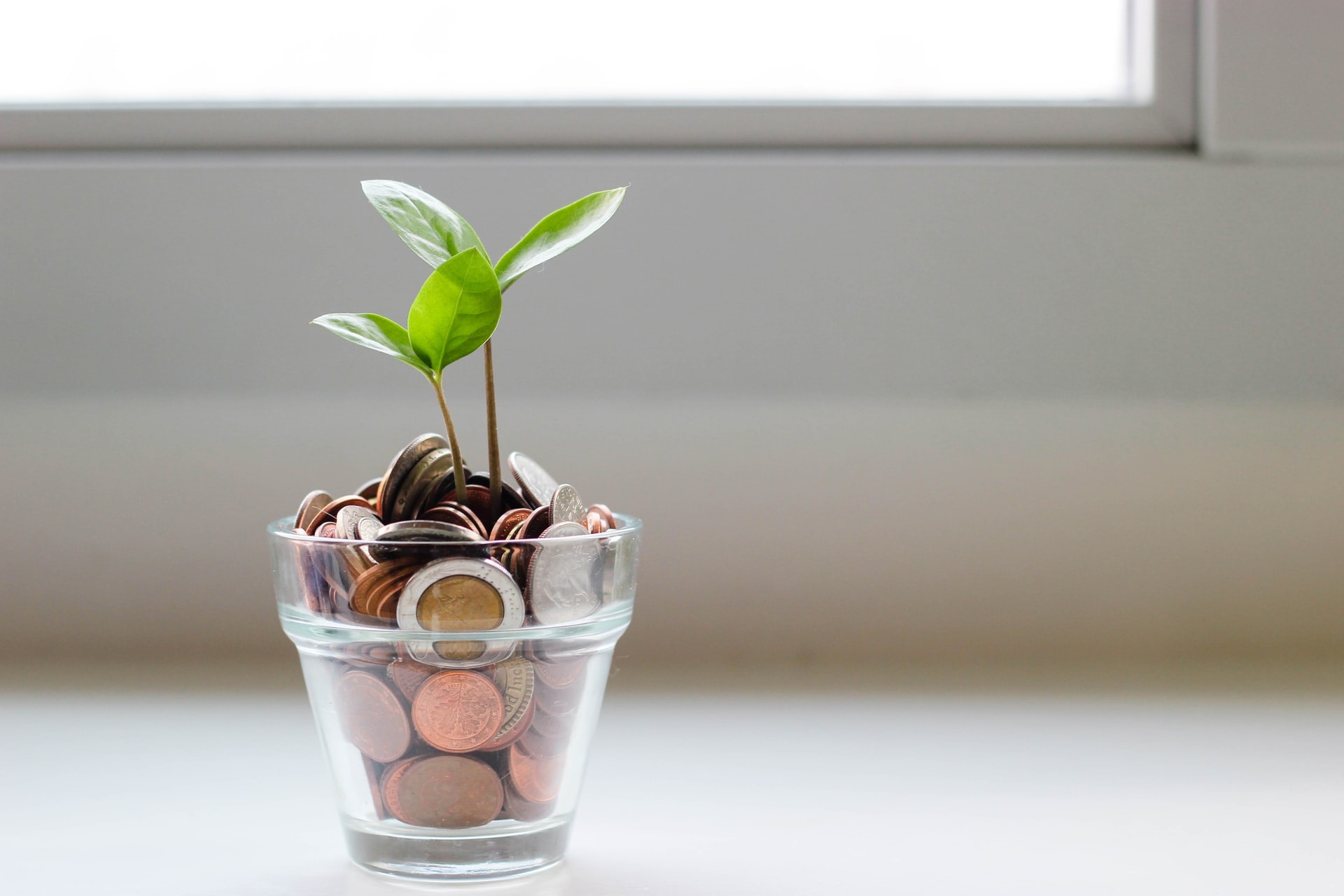 Contributing to Your Pension